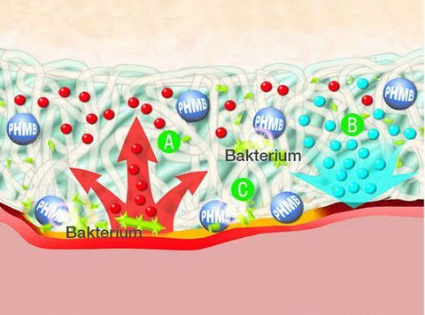 Suprasorb® X + PHMB HydroBalance Kompresse