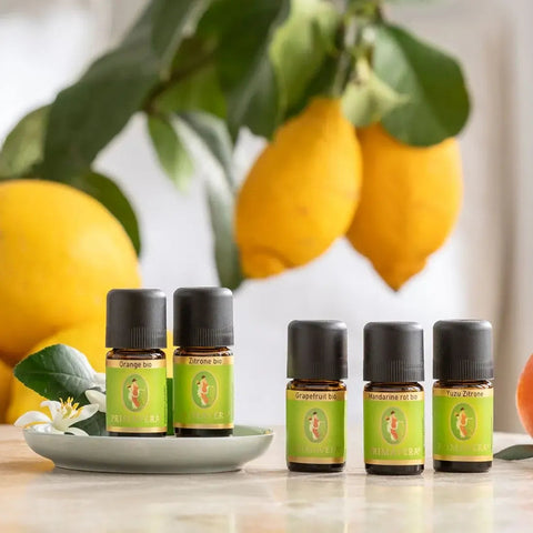 Ätherisches Öl 5ml PRIMAVERA LIFE